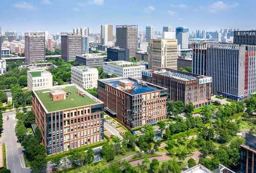 网站建设教材——企业决策层的选型与落地指南