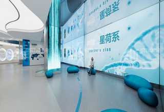 贵州一次性水果盒经销商