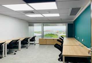 新洲区影响花卉创新服务